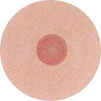 Skin Tone 1-3