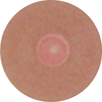 Skin Tone 2-1