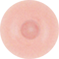 Skin Tone 2-4